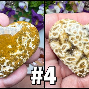 May include: Two heart-shaped stones, one with a golden-brown base and white patterns, the other with a cream base and brown patterns. The stones are held in hands, with a floral background and the number "4" in the corner.