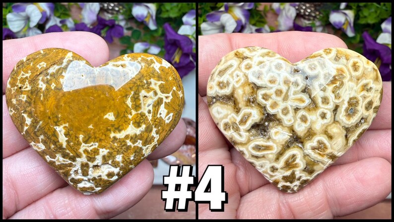 May include: Two heart-shaped stones, one with a golden-brown base and white patterns, the other with a cream base and brown patterns. The stones are held in hands, with a floral background and the number "4" in the corner.