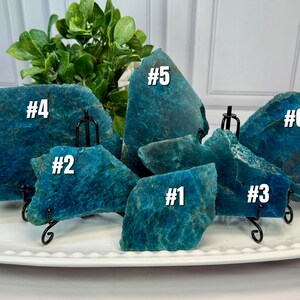 May include: A collection of six raw, teal-colored apatite crystal slabs, each with a unique shape and texture. The crystals are displayed on a white platter with black metal stands, numbered from #1 to #6.
