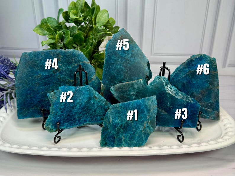 May include: A collection of six raw, teal-colored apatite crystal slabs, each with a unique shape and texture. The crystals are displayed on a white platter with black metal stands, numbered from #1 to #6.