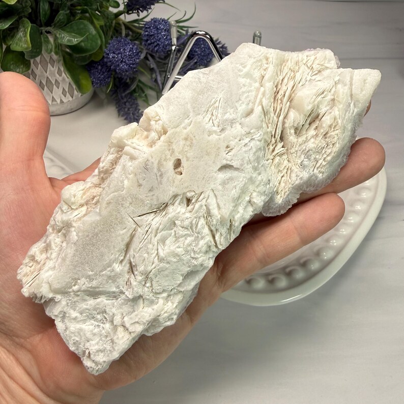 May include: A large, irregularly shaped, off-white mineral specimen with a rough, textured surface. The stone has areas of light brown and dark inclusions. The mineral is held in a hand, with a white, oval-shaped dish in the background.