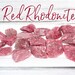 Cherry Rhodonite Raw Stone, Ice Red Rhodonite Raw Stone, Rhodonite ...