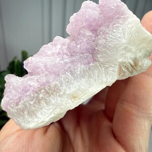 May include: A natural mineral specimen featuring a cluster of light purple crystals atop a white base. The crystals have a textured, granular appearance, with a feathery, radiating pattern at the base. The overall shape is irregular and organic.