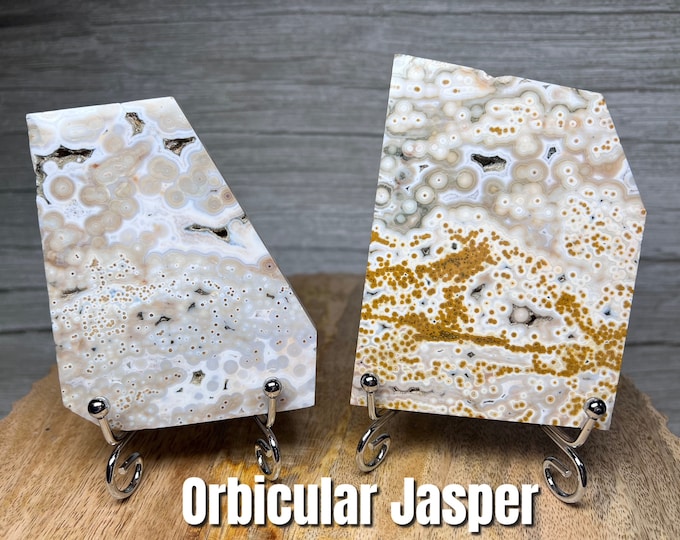 Orbicular Ocean Jasper Slab, Orbicular Jasper Freeform, Ocean Jasper Slab, Druzy Ocean Jasper -  Stand Included!