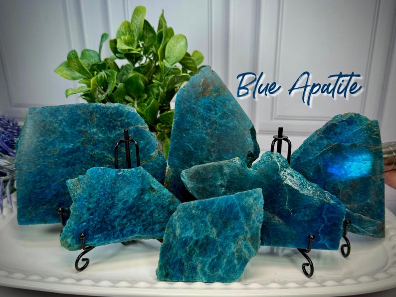 May include: A collection of blue apatite crystal slabs displayed on a white platter. The slabs are various sizes and shapes, with a rough, textured surface. The text "Blue Apatite" is written in a script font.