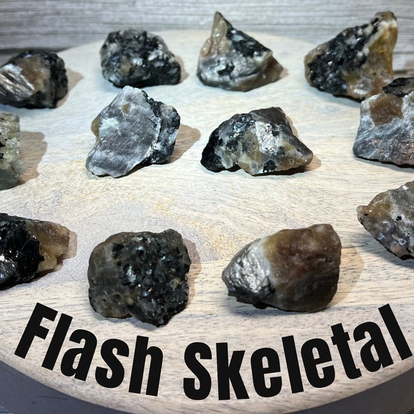 Flash Skeletal, Black Skeletal Sunstone, Heliolite, Starlight Skeletal with Sunstone and Moonstone Inclusion