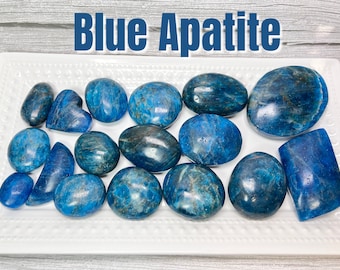 May include: A collection of 14 smooth, polished blue apatite stones of various sizes and shapes on a white plate. The stones have a deep blue color with some white veining.