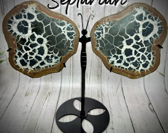 Septarian Nodule Butterfly Wings, Dragon Stone, Septarian Geode from Morocco, Septarian Crystal Butterfly Wings with Custom Metal Stand (lg)