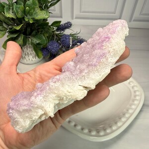 May include: A natural, elongated crystal formation with a gradient of colors. The base is a creamy white, transitioning to a soft lavender hue at the top. The crystal has a rough, textured surface.