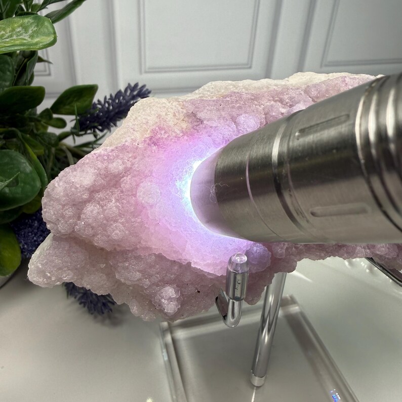 May include: A light pink mineral specimen is illuminated by a silver flashlight, revealing a glowing purple interior. The mineral sits on a clear stand, with green and purple foliage in the background. The mineral has a textured, crystalline appearance.