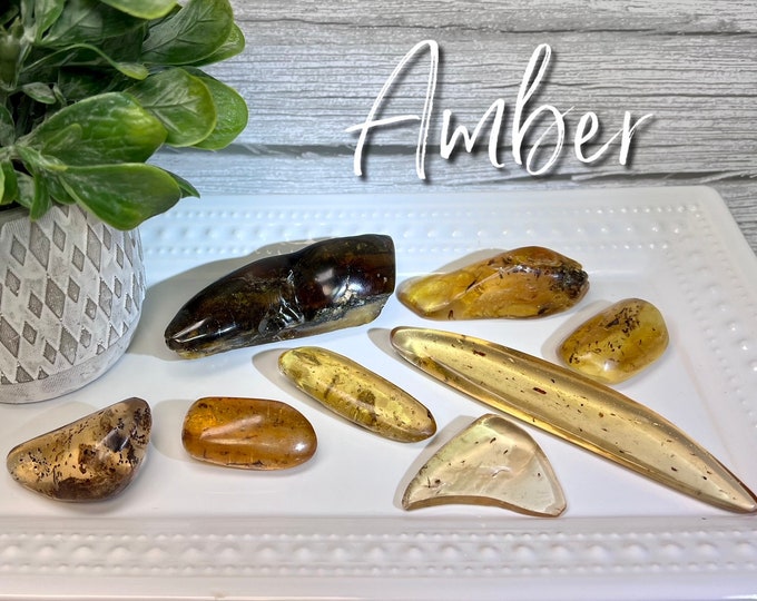 Amber with BUGS Freeform, Polished Amber Freeform Carving, Insect Inclusion, Amber Specimen