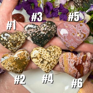 May include: Six heart-shaped stones in various colors and patterns. The stones include speckled, spotted, and marbled designs in shades of brown, green, pink, and white. Each stone is numbered from one to six.