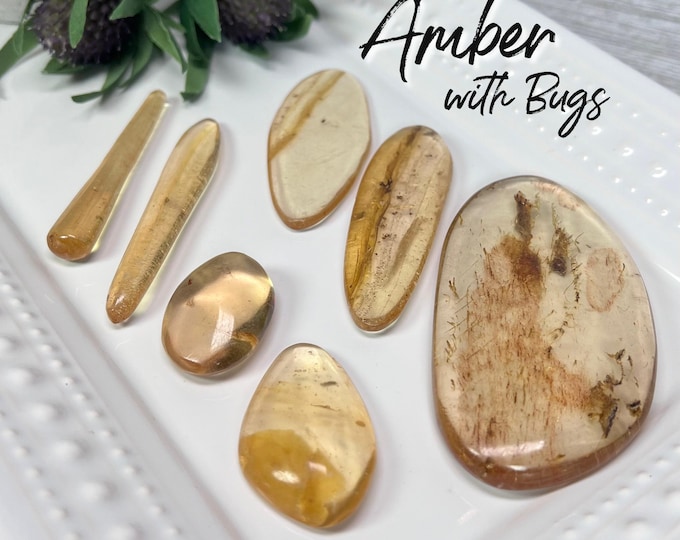 Small Amber Freeform with BUGS, Polished Amber Freeform Carving with Insect Inclusion, Amber Specimen (2)