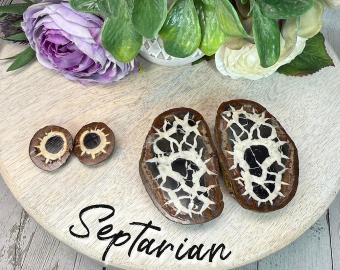 Sliced Septarian Nodule, Dragon Stone, Septarian Geode from Morocco, Septarian Nodule