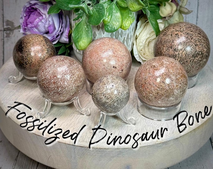 Fossilized Dinosaur Bone Sphere, Agatized Dinosaur Bone, Dino Bone Sphere - Stand Included