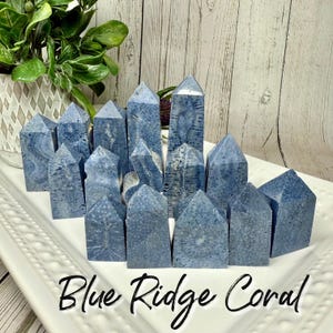 Blue Ridge Coral Tower, Blue Coral Tower, Heliopora Coerulea, Natural Blue Coral (Set#2)