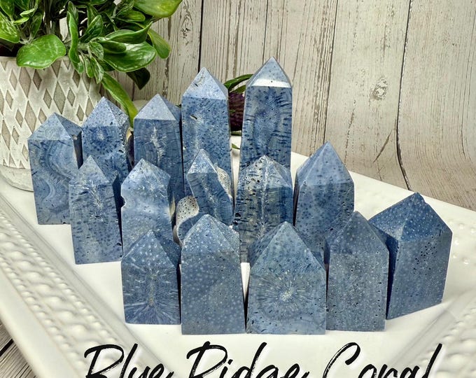 Blue Ridge Coral Tower, Blue Coral Tower, Heliopora Coerulea, Natural Blue Coral (Set#2)