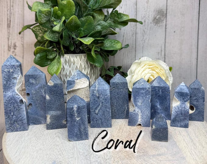 Blue Ridge Coral Tower, Blue Coral Tower, Heliopora Coerulea, Natural Blue Coral (Set#4)