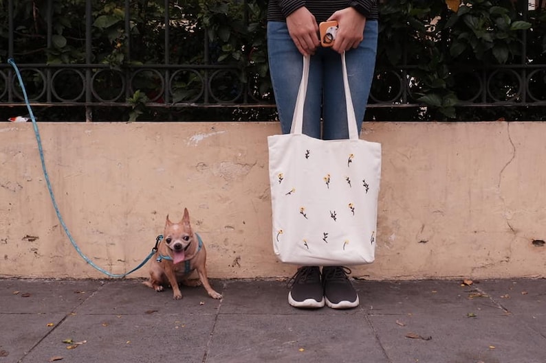 May include: A white tote bag with a floral pattern, a small brown dog on a leash, and a person wearing blue jeans and black shoes.