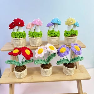May include: A collection of handmade crochet plants, including colorful mushrooms and flowers. The mushrooms have red, pink, blue, and yellow caps. The flowers are red, pink, and purple with yellow centers, all in small woven pots.