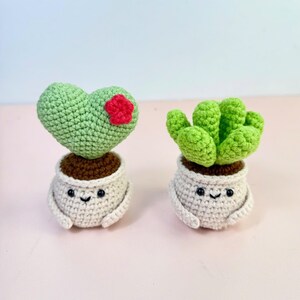 May include: Two crocheted succulent plants. One is heart-shaped with a red flower, the other has multiple green leaves. Both are in white pots with smiling faces and small arms. The background is light pink.