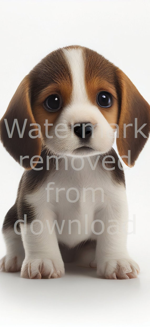 Beagle Puppy Wallpaper