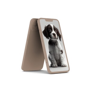Springer Spaniel Puppy Wallpaper
