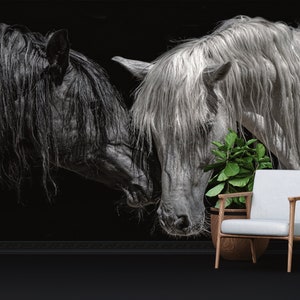 Black and White Horses Wallpaper: Farmhouse Animal Wall Art