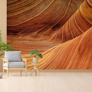 Desert Landscape Wall Mural: 3D Wall Art Decor