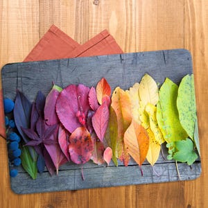 Autumn Leaves Tempered Glass Cutting Board: Colorful Kitchen Decor