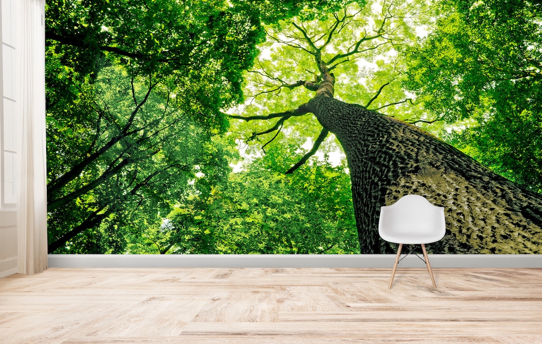 Green Leaf Tree Wallpaper Mural: Peel and Stick 3D Wall Decor - Etsy