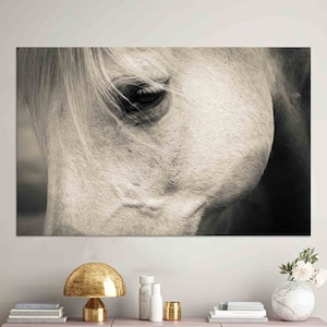 White Horse Glass Art, Horse 3D Canvas Art, Wall Art Prints, Office Art Decor, Animal Wall Art Decor, Tempered Glass, Canvas Wall Decor Art,