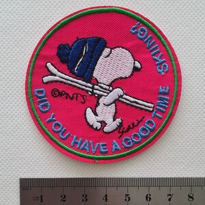 May include: A pink and green embroidered patch with a cartoon dog wearing a blue hat and holding skis. The text on the patch reads "Did you have a good time skiing?"