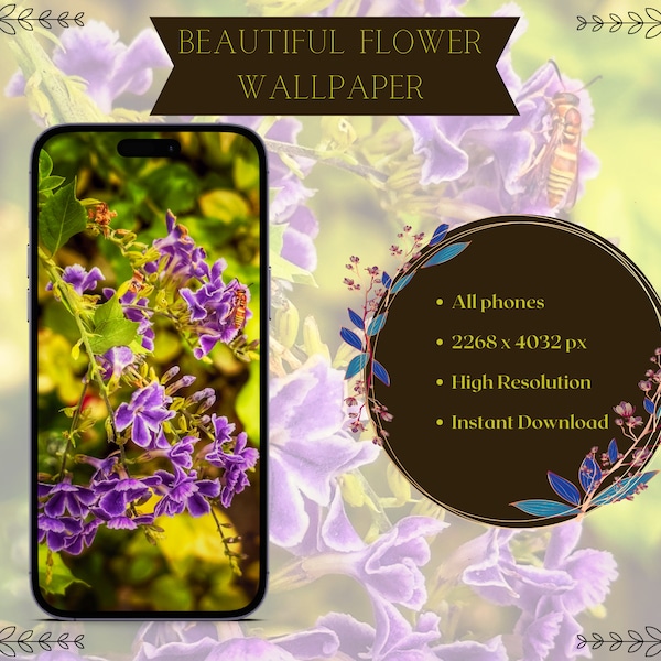 Flower Phone Wallpaper | Iphone Wallpaper | Smartphone Wallpaper | Beautiful Flower Photo | Phone Background