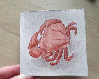 Crab Painting: Original Watercolor Miniature Sea Animal Art, 4x4" by Desi Guteva