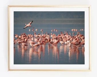 Flamingos Photo Print-Lake with Flamingos Print-Pink Birds Print-Vintage Photo with Flamingos  Print-Panoramic Lake with Pink Birds Wall Art