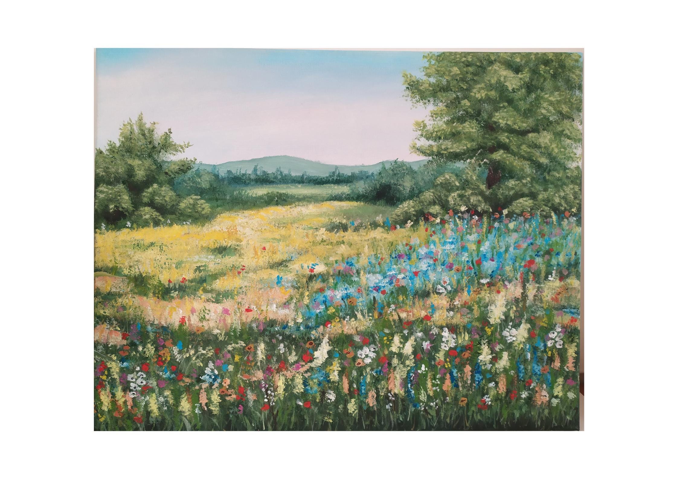 Vermont Painting 16"-20" Wildflowers Meadow Original Canvas Painting Summer Country Landscape Field of Flowers Art New England Nature Art