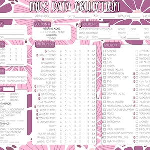 Puede incluir: Un formulario rosa y blanco de recopilación de datos MDS con detalles florales. El formulario incluye secciones para información del residente, evaluaciones de salud y condiciones médicas, con casillas.