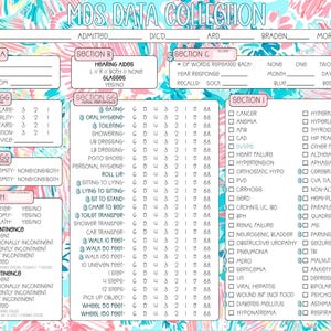 May include: A printed MDS data collection form featuring a colourful tropical leaf pattern background in shades of pink, blue, and white. The document includes sections labelled A through I with various checkboxes, lines for patient data, and medical lists.