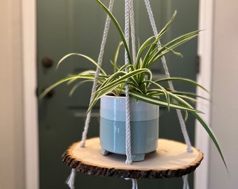 丸い木のスライスにマクラメのプラントハンガーを取り付けました
