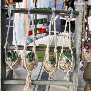 Puede incluir: Cinco peque&ntilde;os terrarios de vidrio con colgantes de macram&eacute;, cada uno con una peque&ntilde;a planta suculenta. Los terrarios est&aacute;n colgados de un estante de madera.