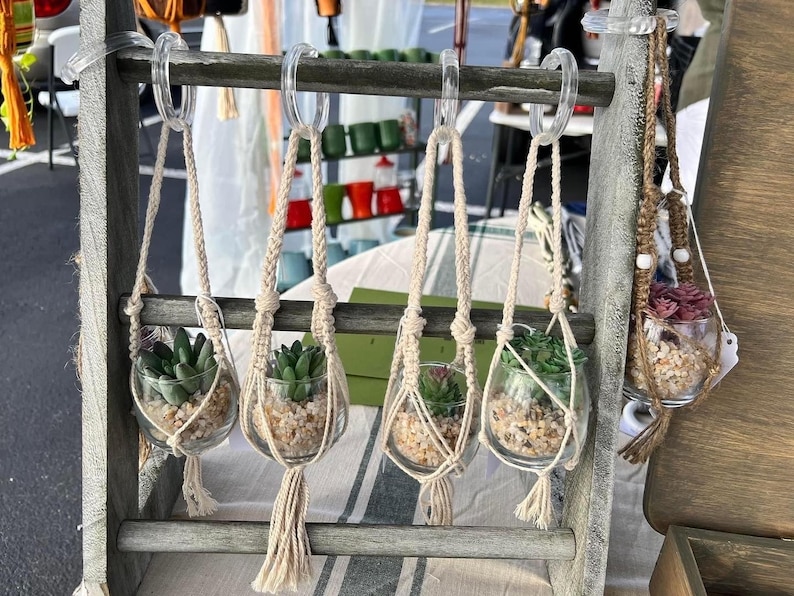 Puede incluir: Cinco peque&ntilde;os terrarios de vidrio con colgantes de macram&eacute;, cada uno con una peque&ntilde;a planta suculenta. Los terrarios est&aacute;n colgados de un estante de madera.