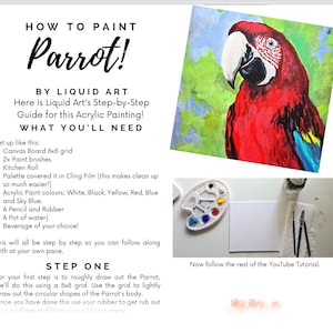 Parrot Step By Step Acrylic Painting Tutorial