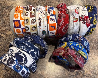 Penn State, Villanova University, Clemson Tigers, Florida Gators, Florida State Seminole, University of Pittsburg, Ohio State Buckeye