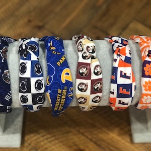 Penn State, Villanova University, Clemson Tigers, Florida Gators, Florida State Seminole, University of Pittsburg, Ohio State Buckeye