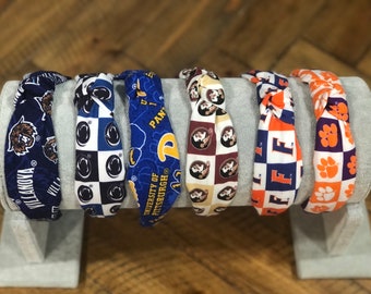 Penn State, Villanova University, Clemson Tigers, Florida Gators, Florida State Seminole, University of Pittsburg, Ohio State Buckeye