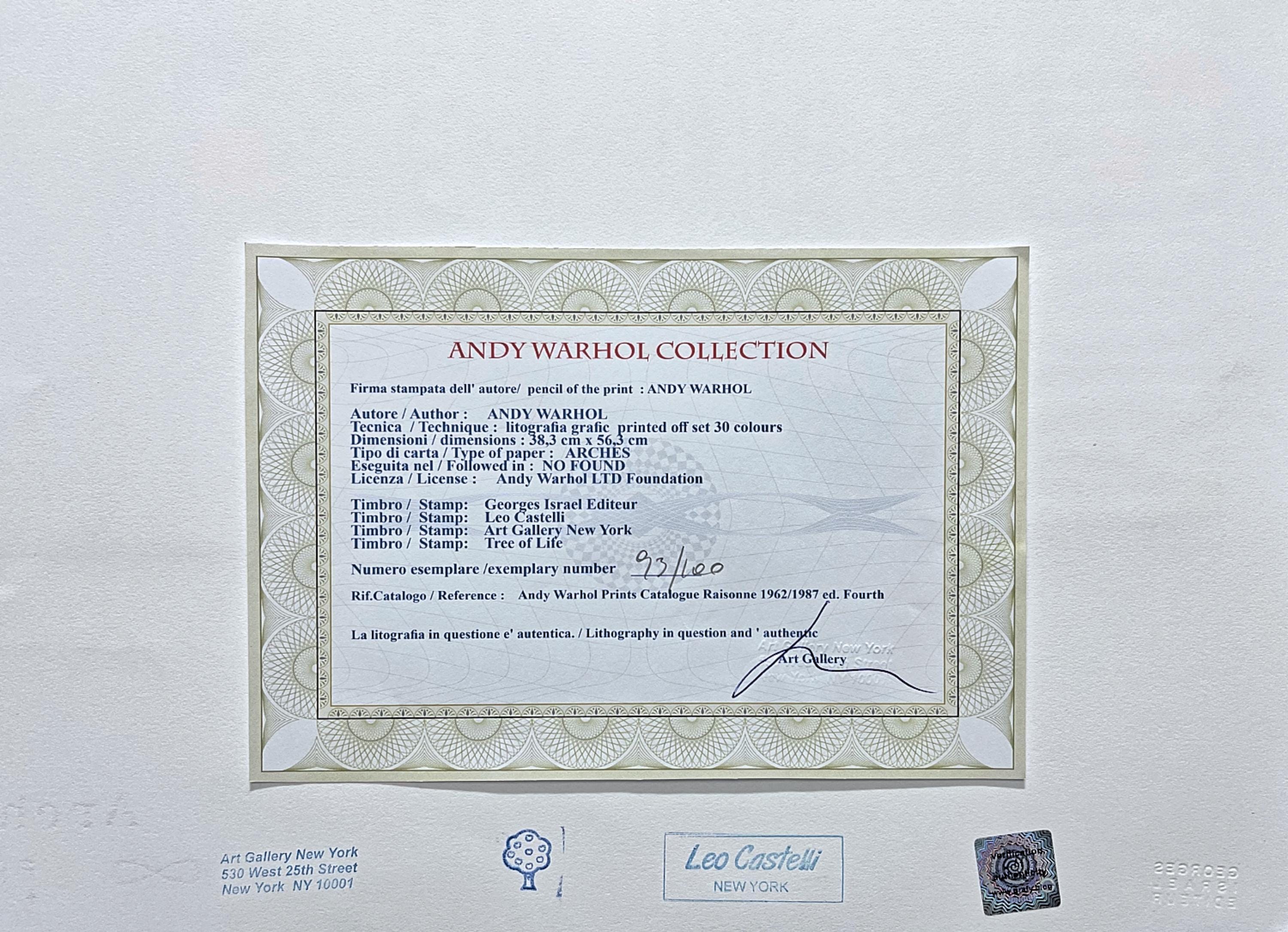 ANDY WARHOL - Moon Explorer Robot - Signed, Numbered Edition 93/100, 38 ...