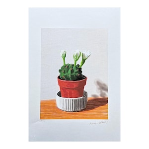 DAVID HOCKNEY - Ein Kaktus mit weißen Blüten - signiert, nummeriert, Auflage 41/500, Zertifikat, 35 x 50 cm, #artwall #kunstgeschenk