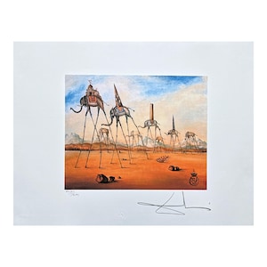 現代アート　graphic art lithograph 50限定 SALVADOR DALÍ - Cinquenta Tigre Real - Signed, Limited