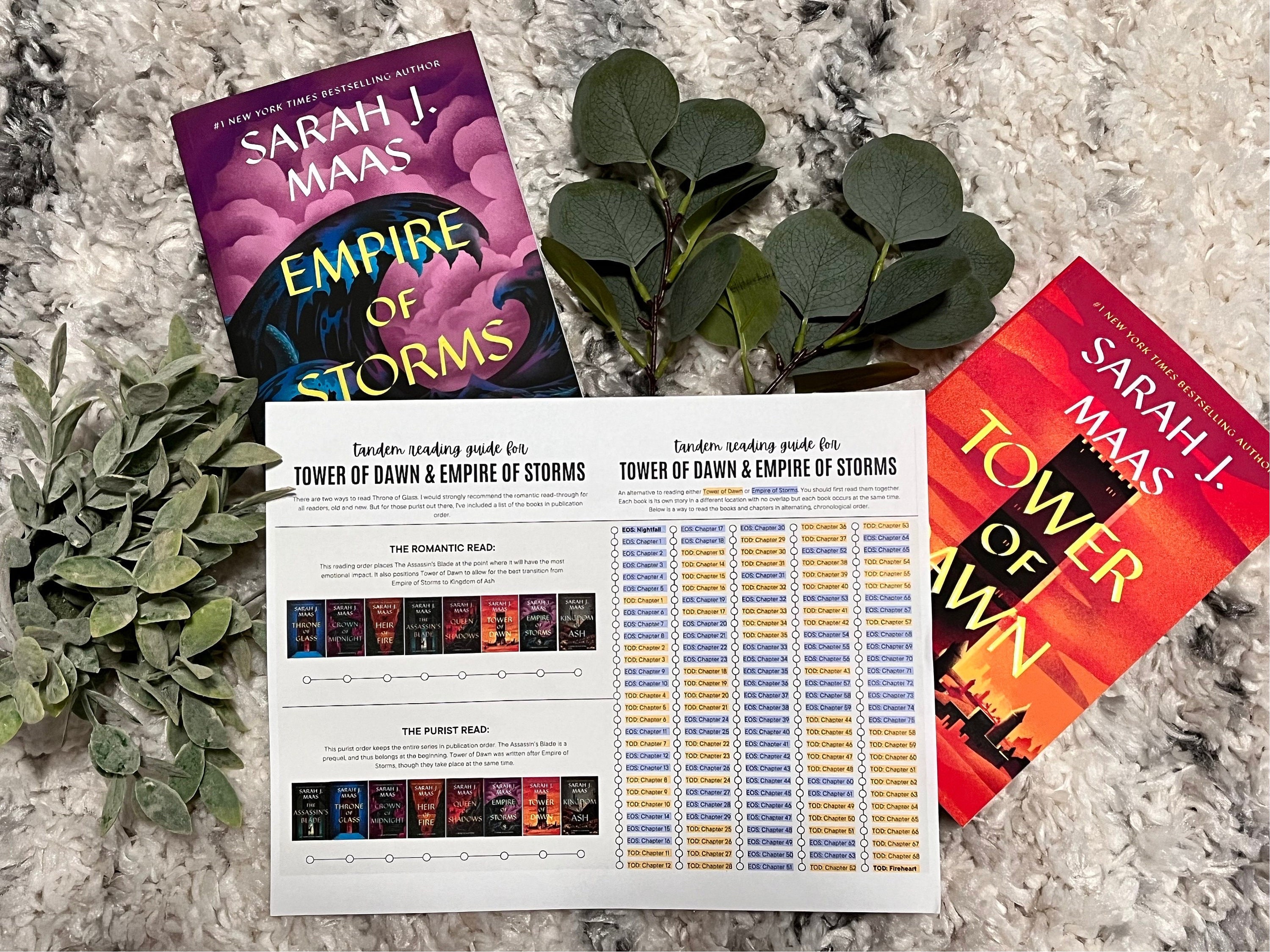 Tandem Read Guide Empire of Storms & Tower of Dawn From Throne of Glass Series Digital Download